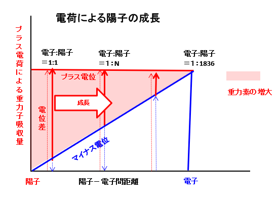 陽子の成長
