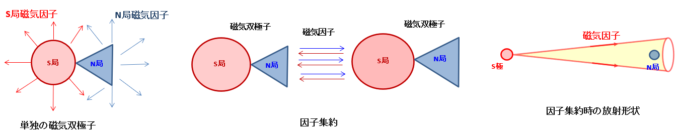 磁気因子集約